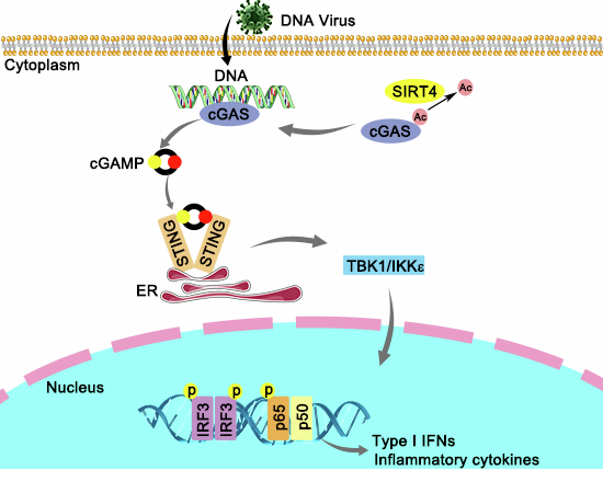 Figure 14