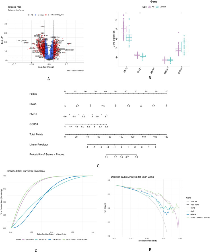 Figure 2