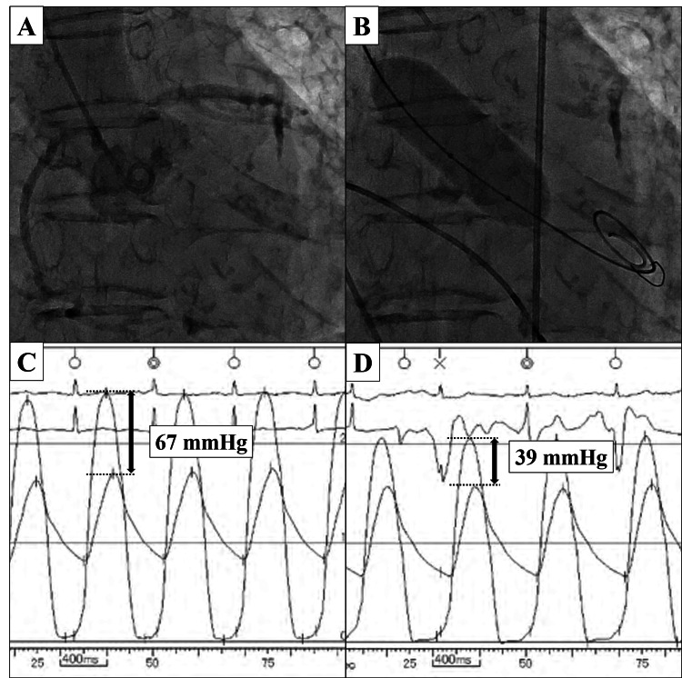 Figure 9