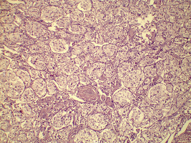 Fig.4
