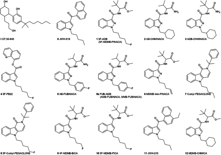 FIGURE 1