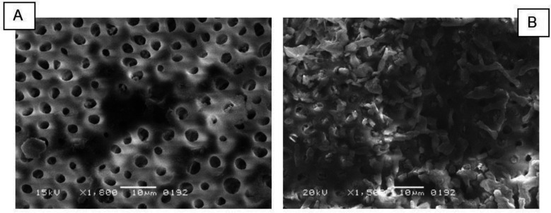 Fig.2A
