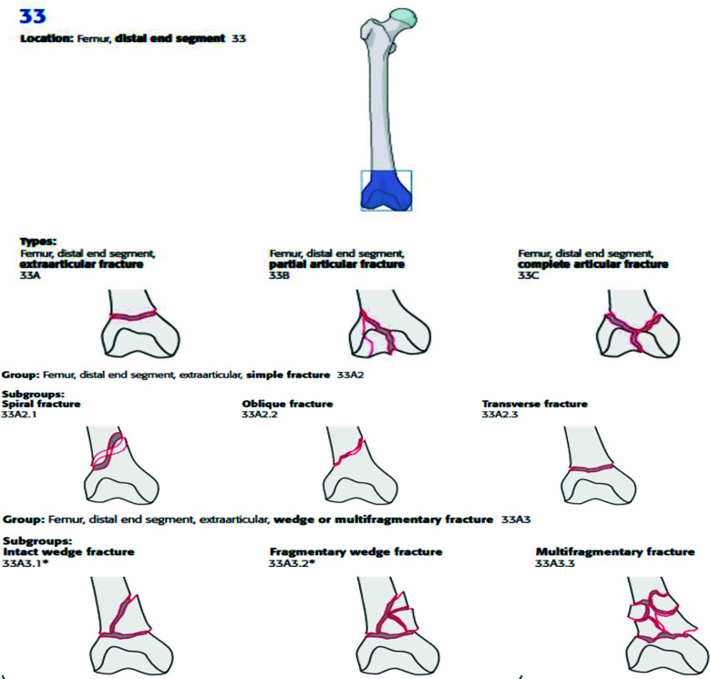 Fig.1