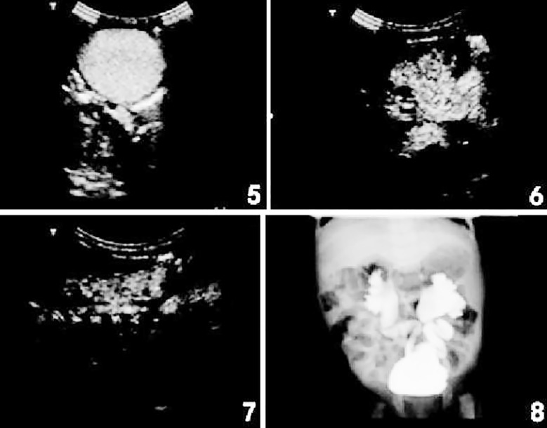 Fig.5-8