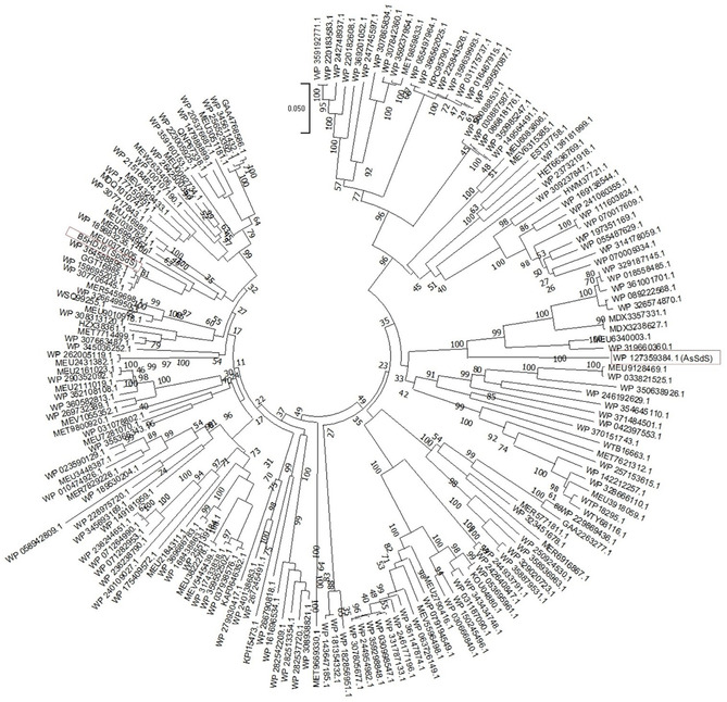 FIGURE 2