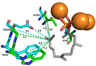 FIGURE 4