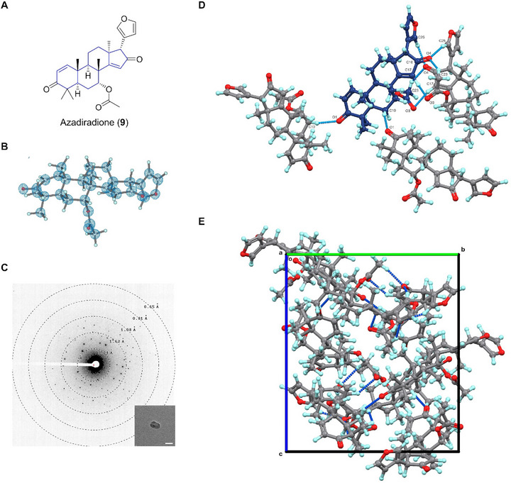 FIGURE 9