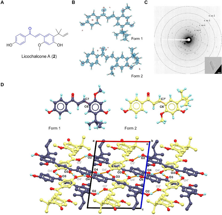 FIGURE 2