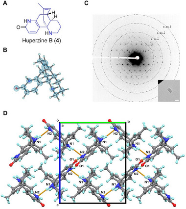 FIGURE 4