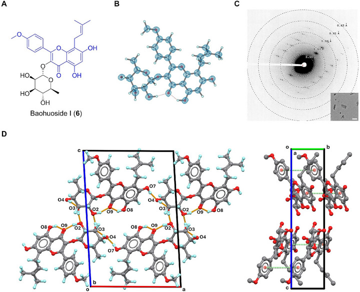 FIGURE 6