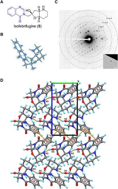 FIGURE 5