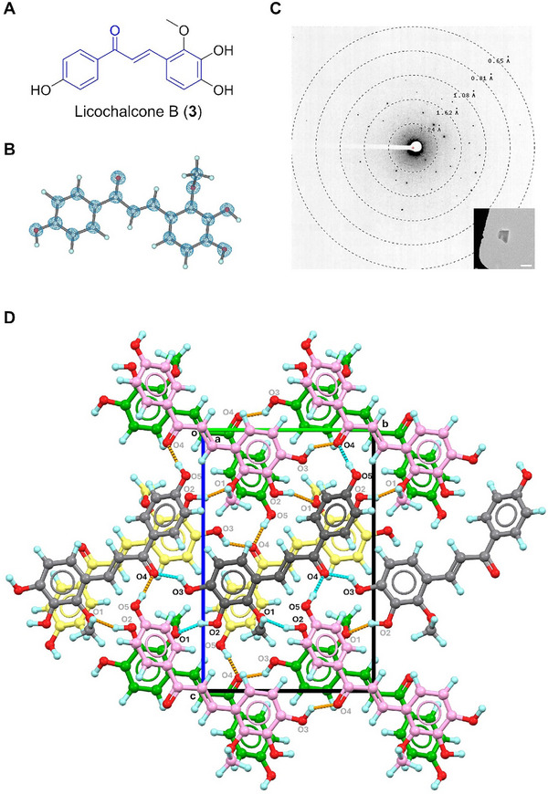 FIGURE 3