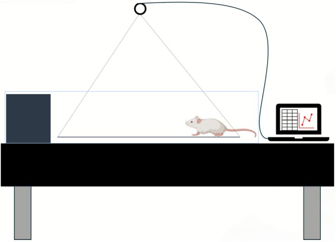 FIGURE 3