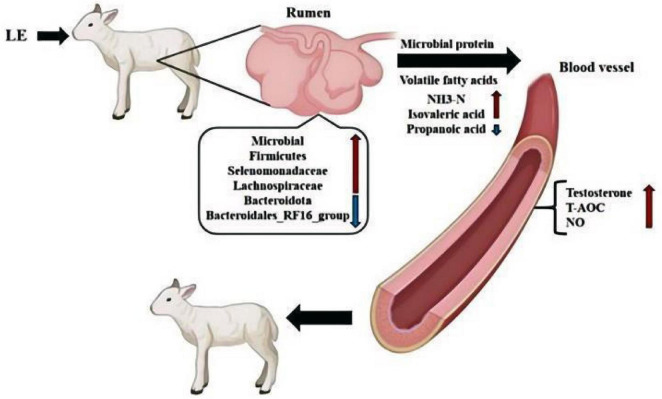 Figure 13