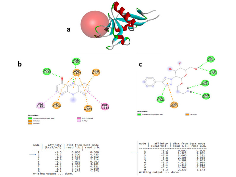 Figure 13