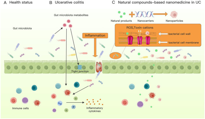 Figure 17