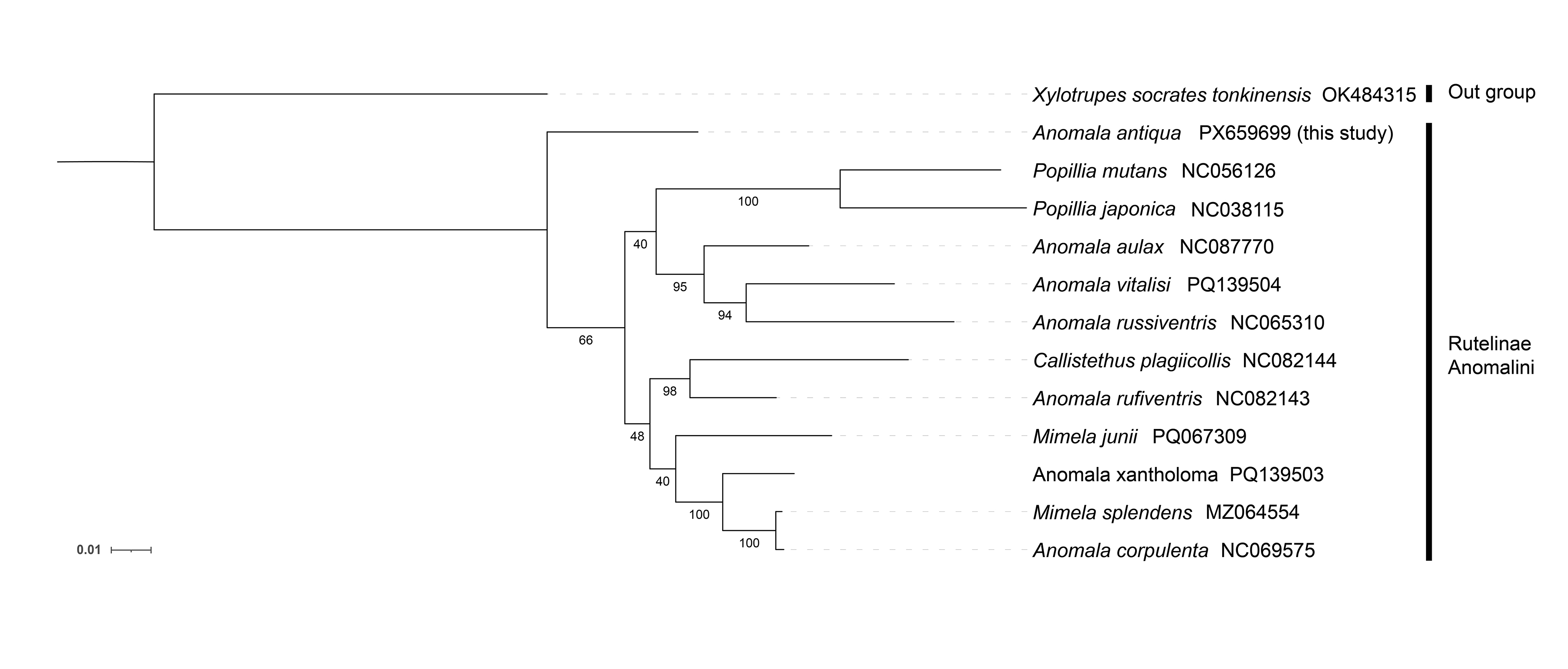 Figure 5