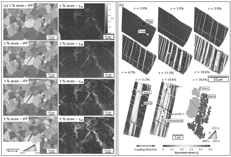 Figure 20