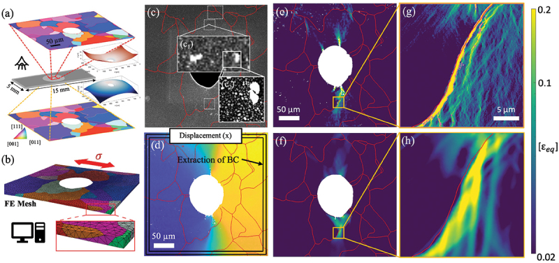 Figure 31