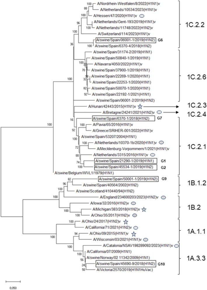 Figure 2