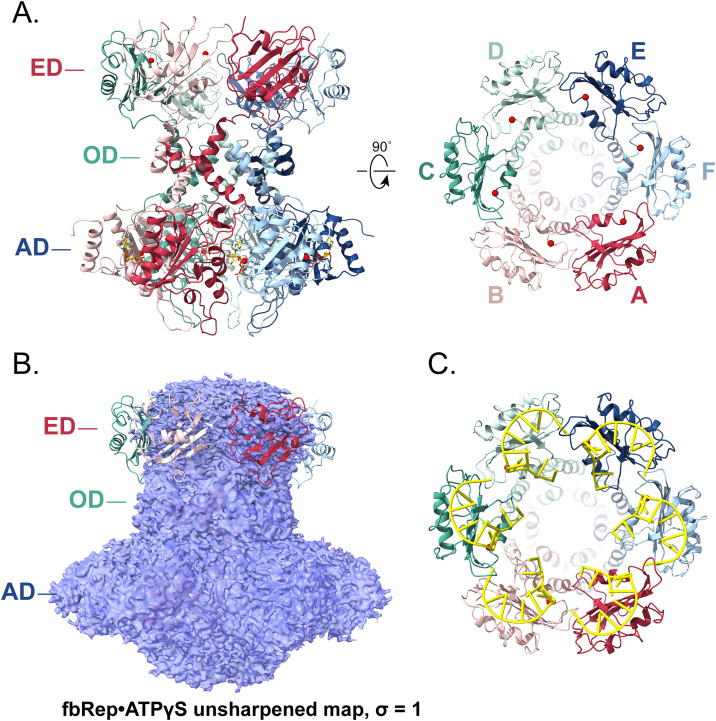 Figure 5
