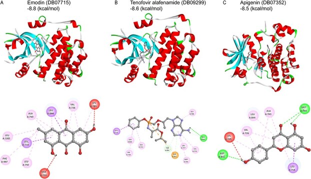 Figure 4