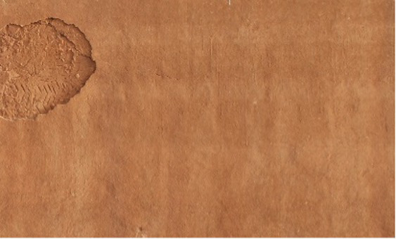 Figure 19