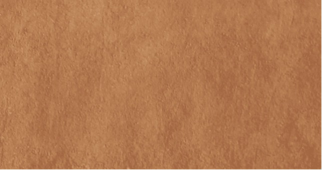 Figure 27