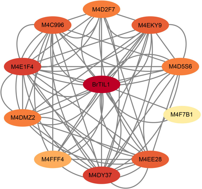 Figure 7
