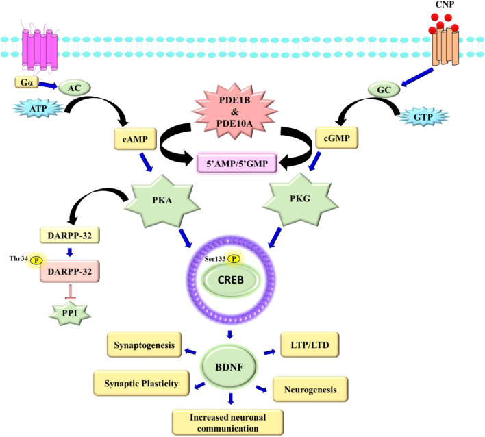 Figure 17