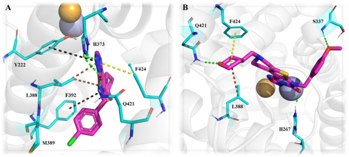 Figure 22