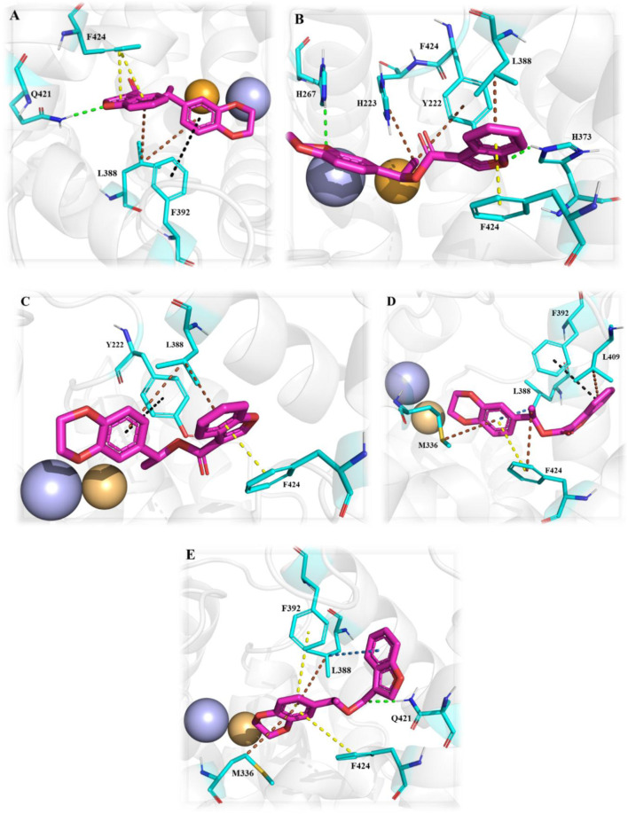 Figure 25