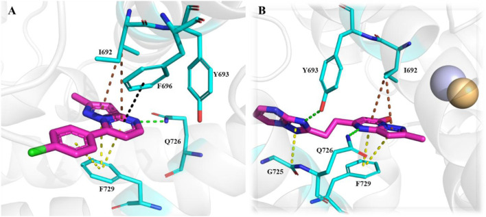 Figure 31