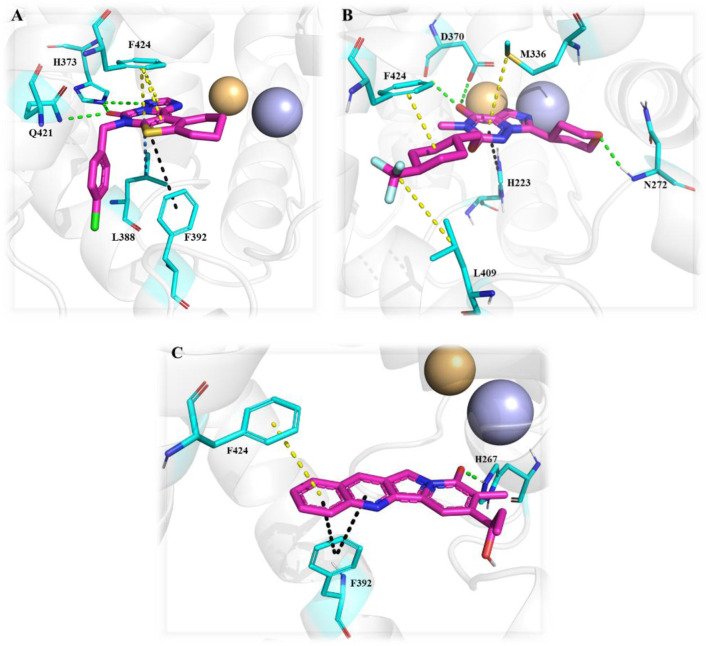 Figure 42