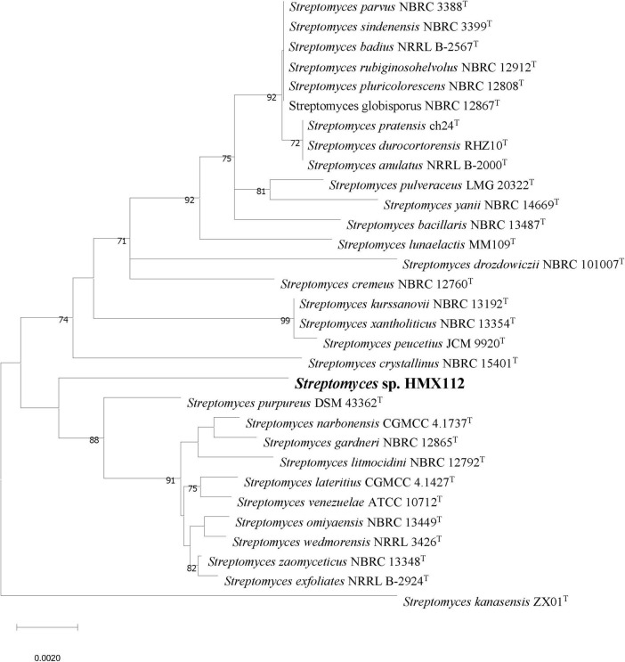 Figure 2