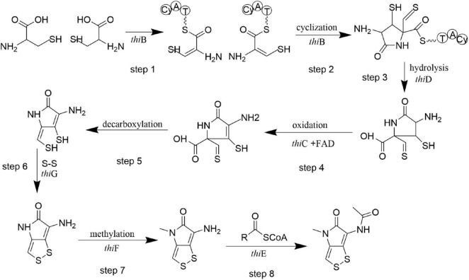 Figure 9
