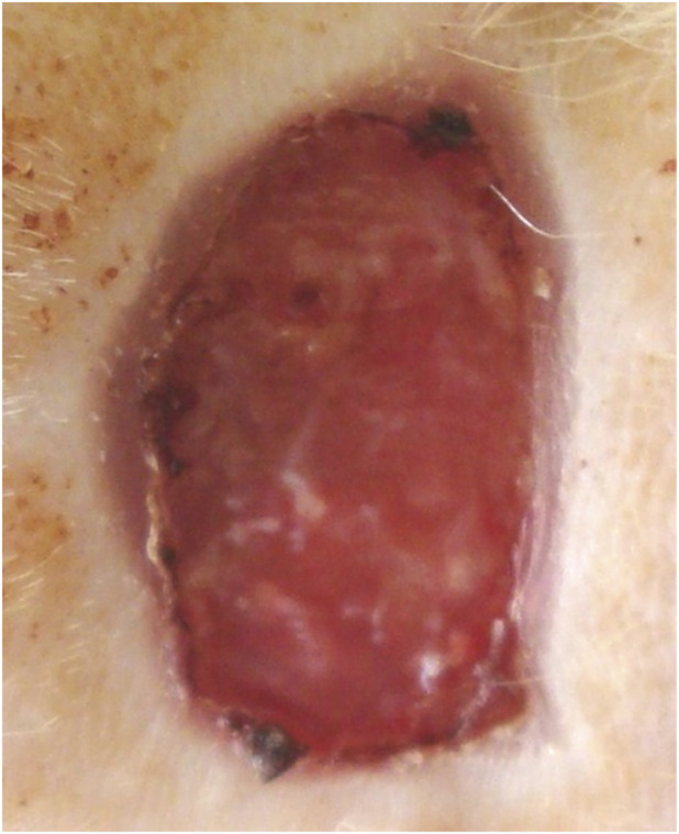 Figure 7