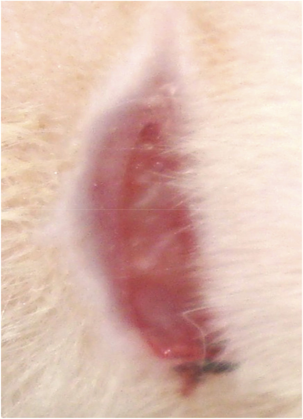 Figure 8