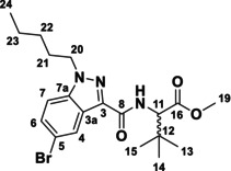 Figure 8