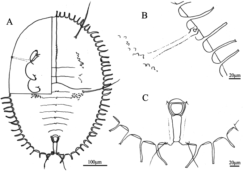 Figure 8