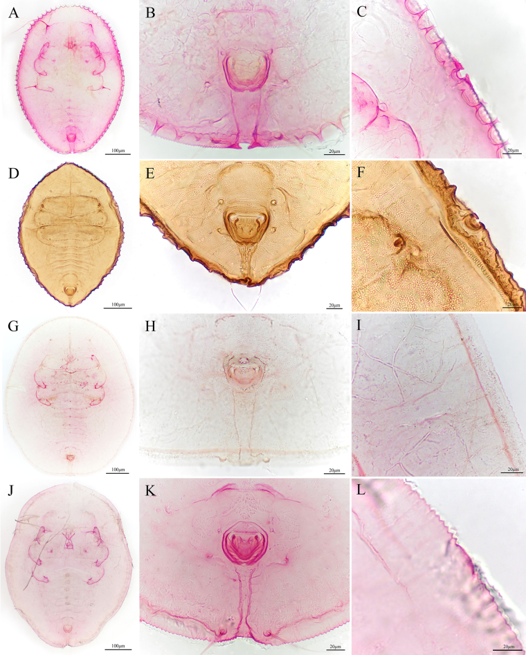 Figure 10