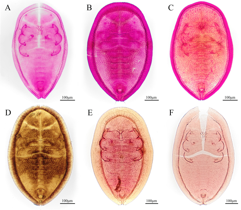 Figure 12