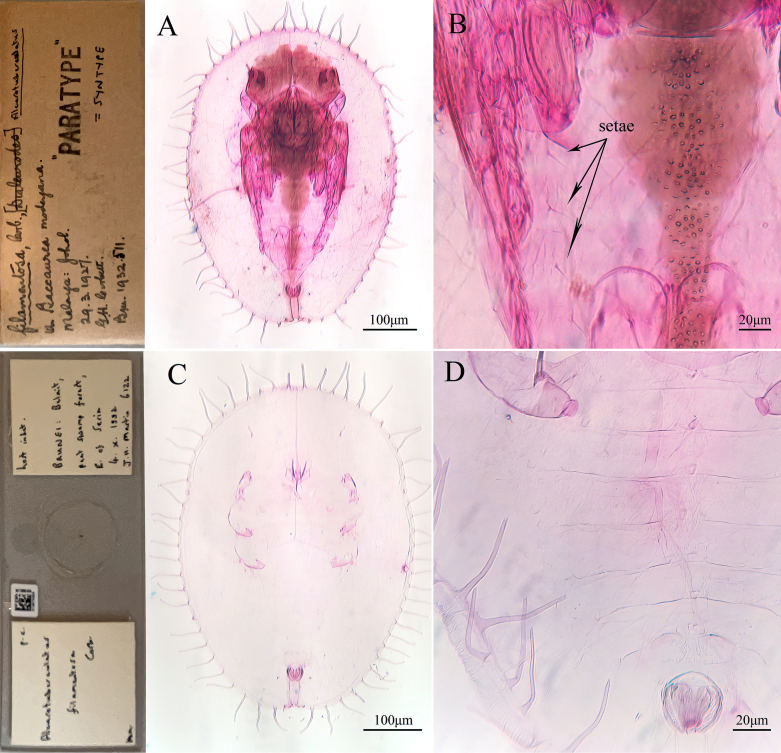 Figure 13