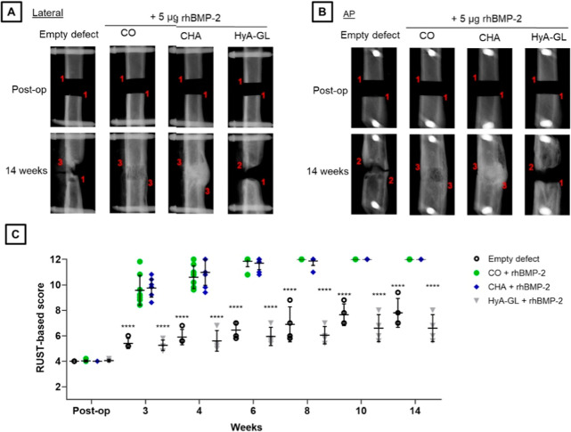 Figure 13