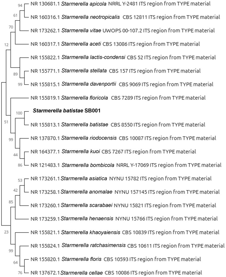 Figure 1