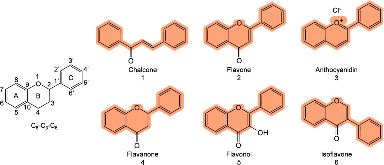 Figure 14