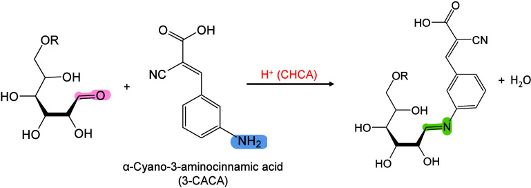 Figure 31