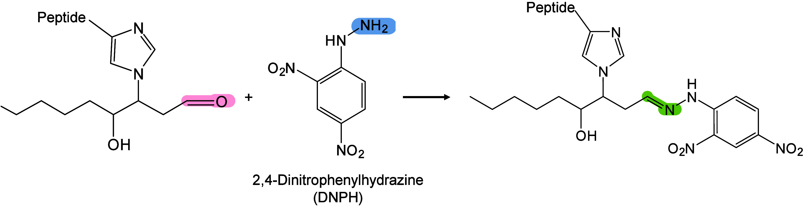 Figure 33