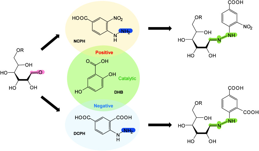 Figure 36