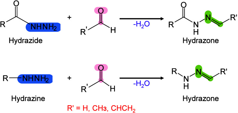 Figure 37